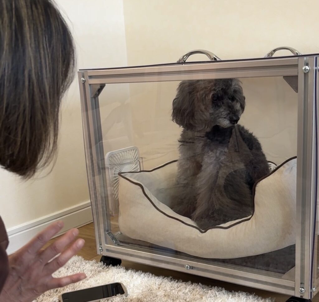 犬整体の後に水素ケアをおすすめする理由